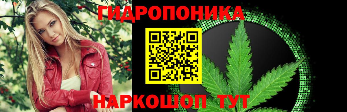 Бошки Шишки план Шелехов